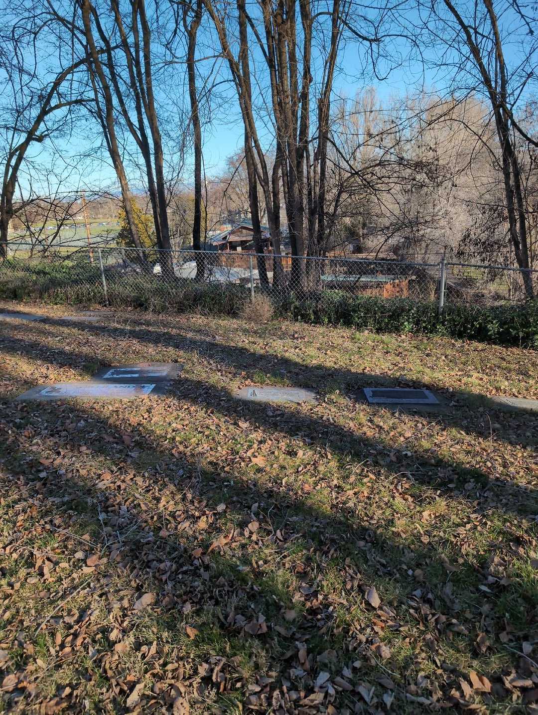 Nellie F. Briggs's grave. Photo 2