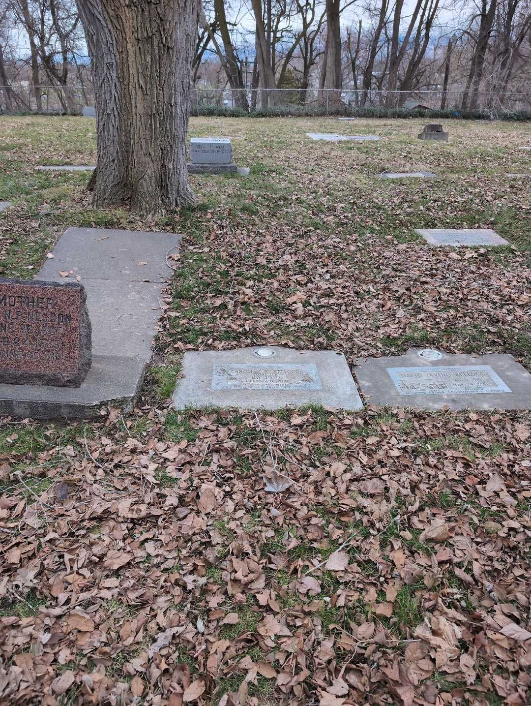 Caroline R. Torkelson Kellogg's grave. Photo 2
