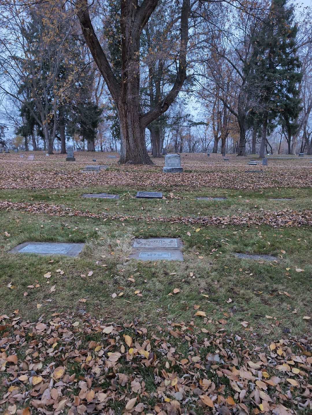 Erma M. Torretta's grave. Photo 2