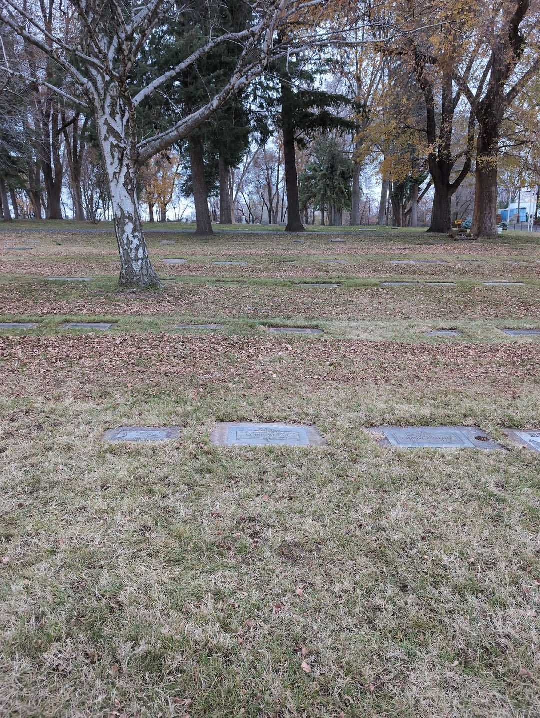 Lynne Wright's grave. Photo 2