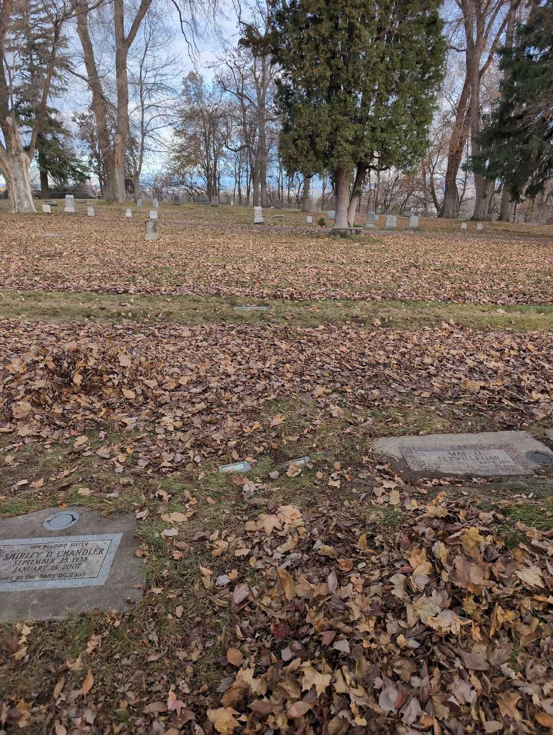Iola A. Singleton's grave. Photo 2