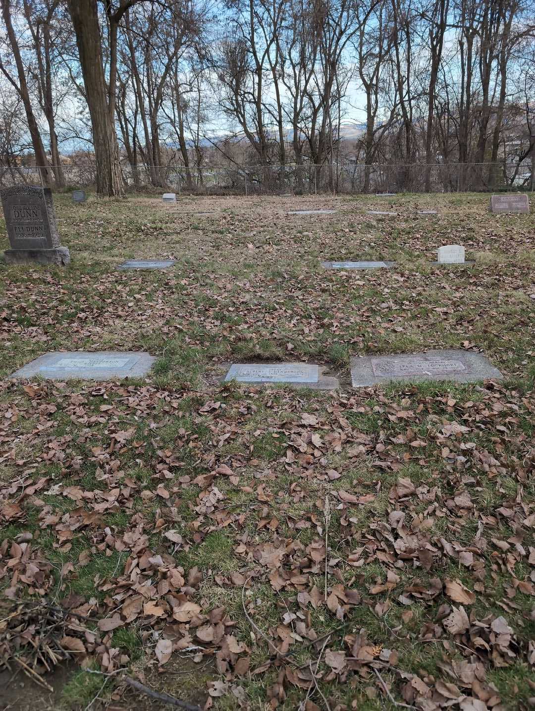 Albert J. Henderson's grave. Photo 2