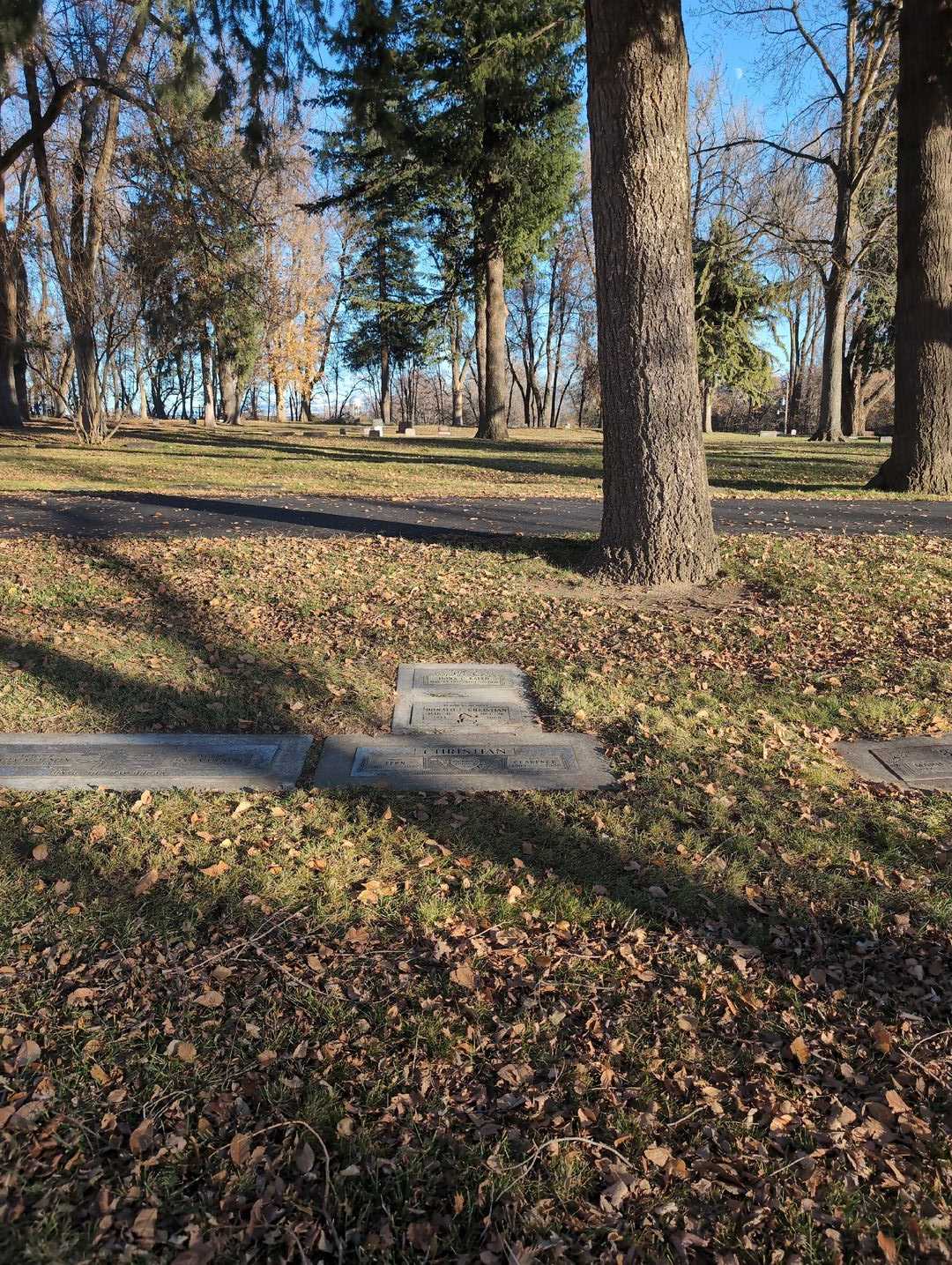 Dona C. Baird's grave. Photo 4