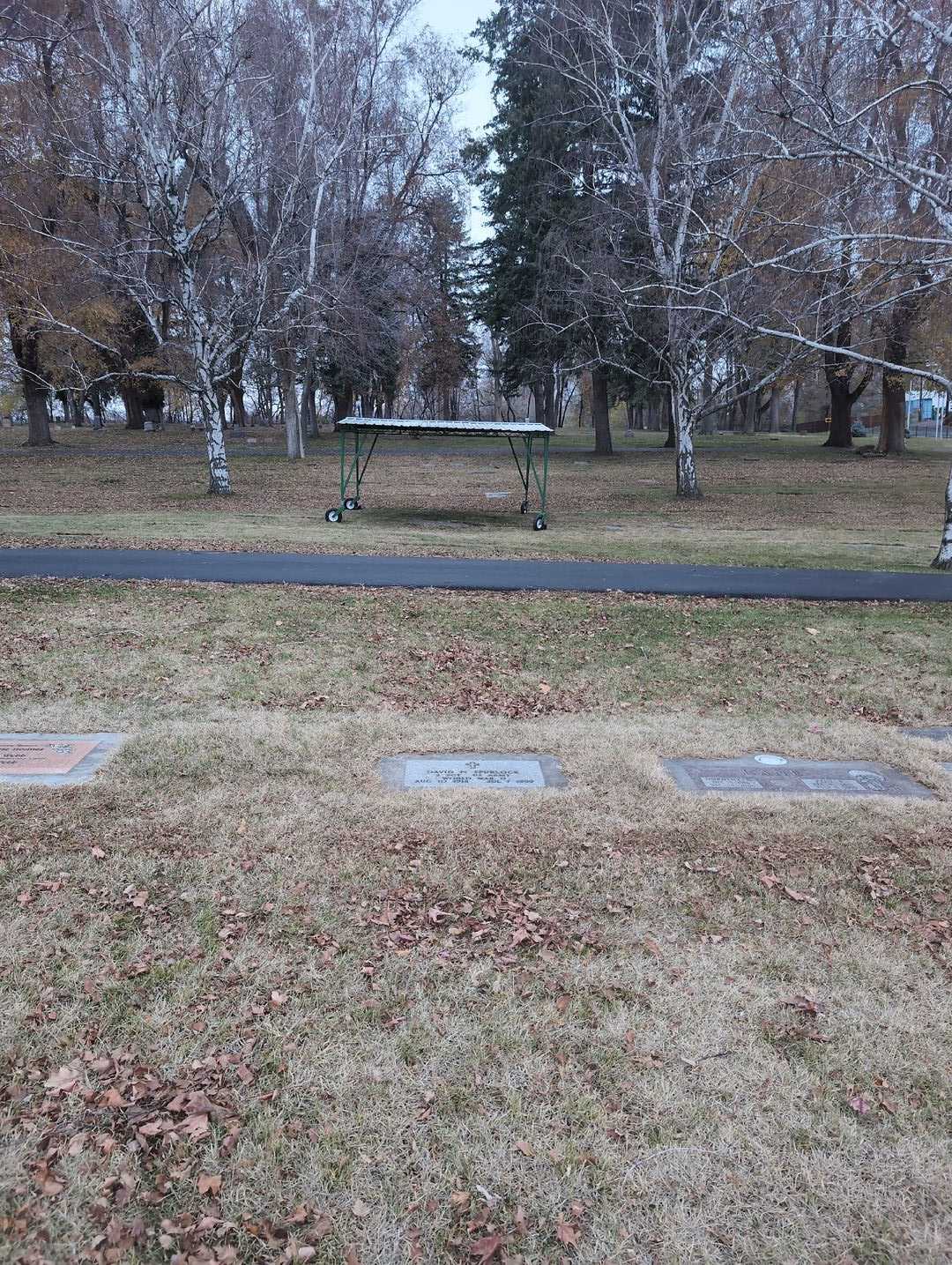 David N. Spurlock's grave. Photo 2