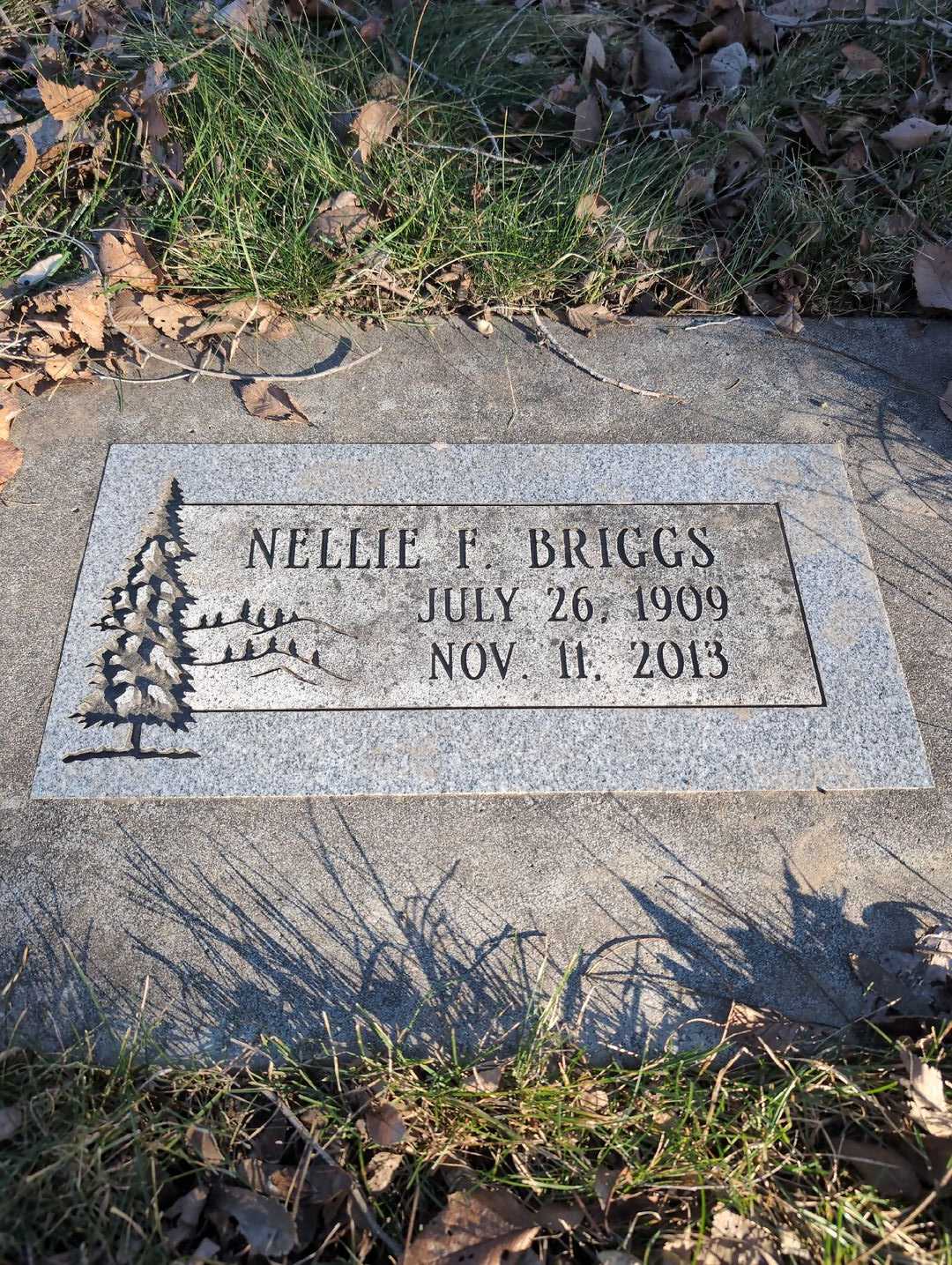 Nellie F. Briggs's grave. Photo 3