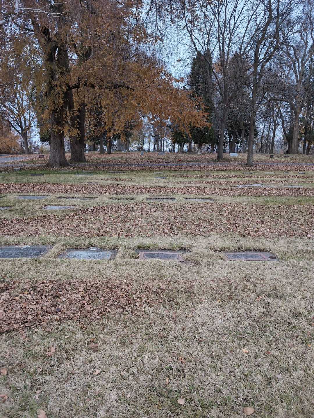 Stella Maye Norman's grave. Photo 2