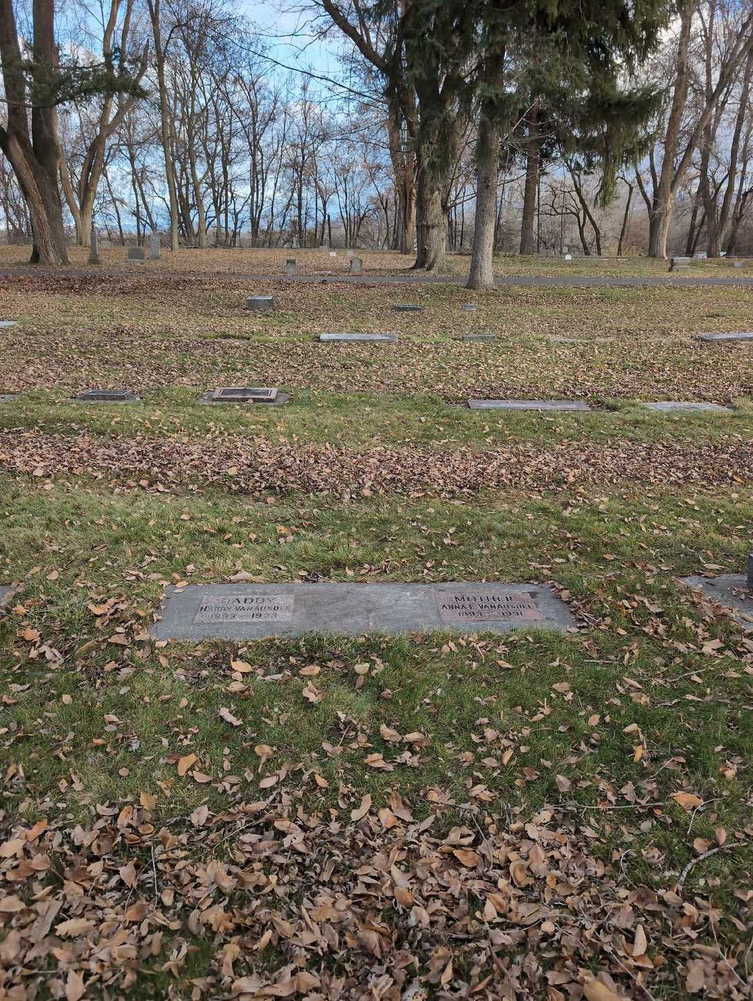 Harry James Van Ausdle's grave. Photo 2