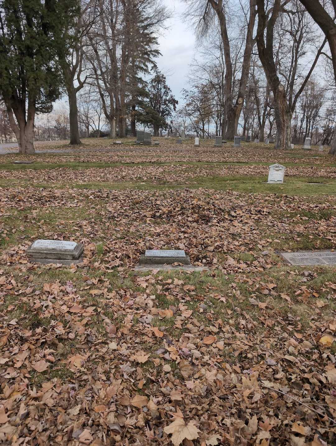 Charles C. "Chas." McKeown's grave. Photo 2