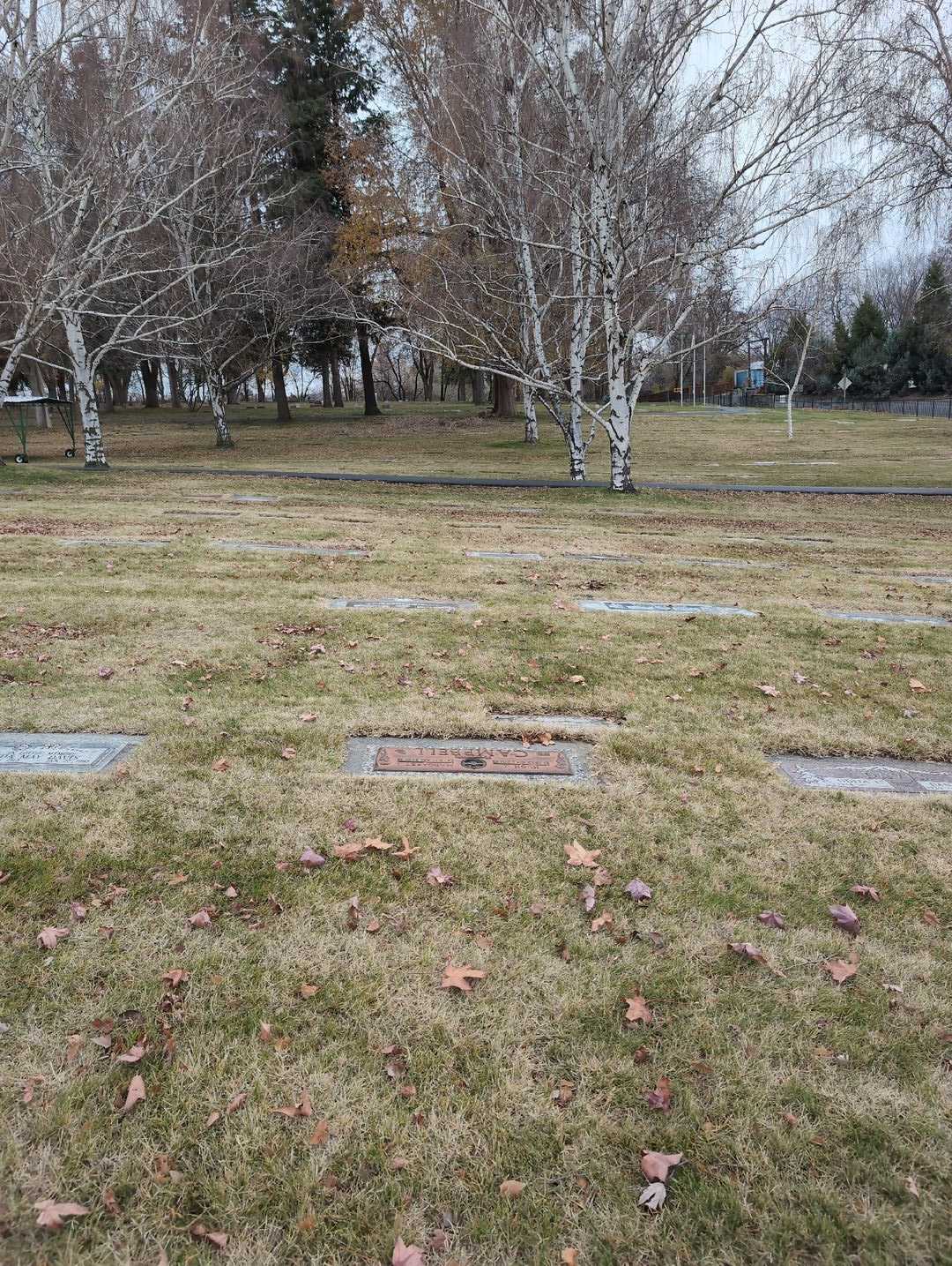 Joylin Campbell-Yukl's grave. Photo 2