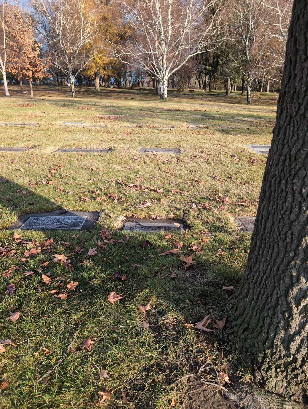 Wanda Dunlap Stiles's grave. Photo 2