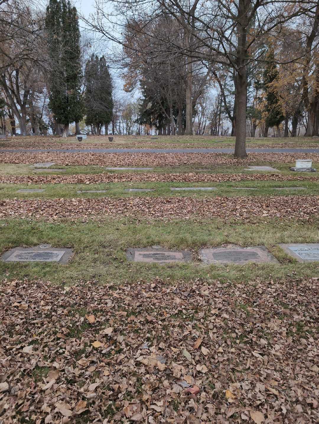 Harold J. Higgins's grave. Photo 2