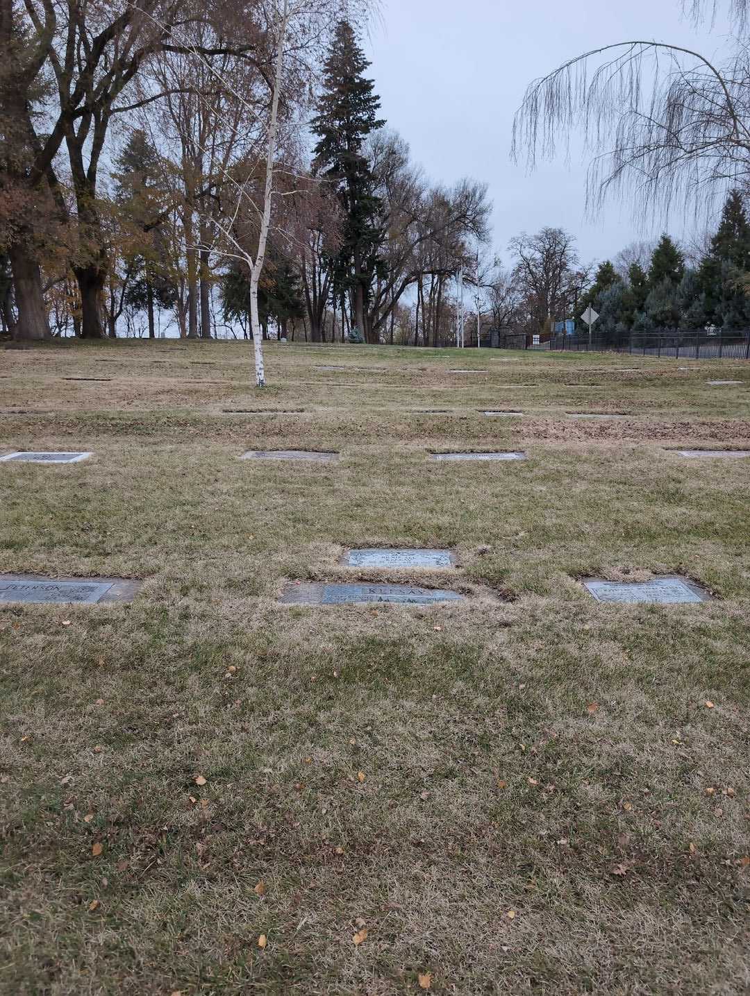 Delphaine Kelsay's grave. Photo 2