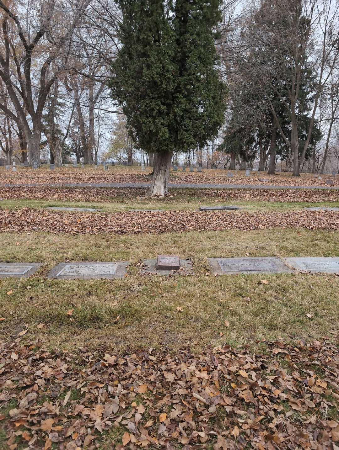 Grace P. Rayl's grave. Photo 2