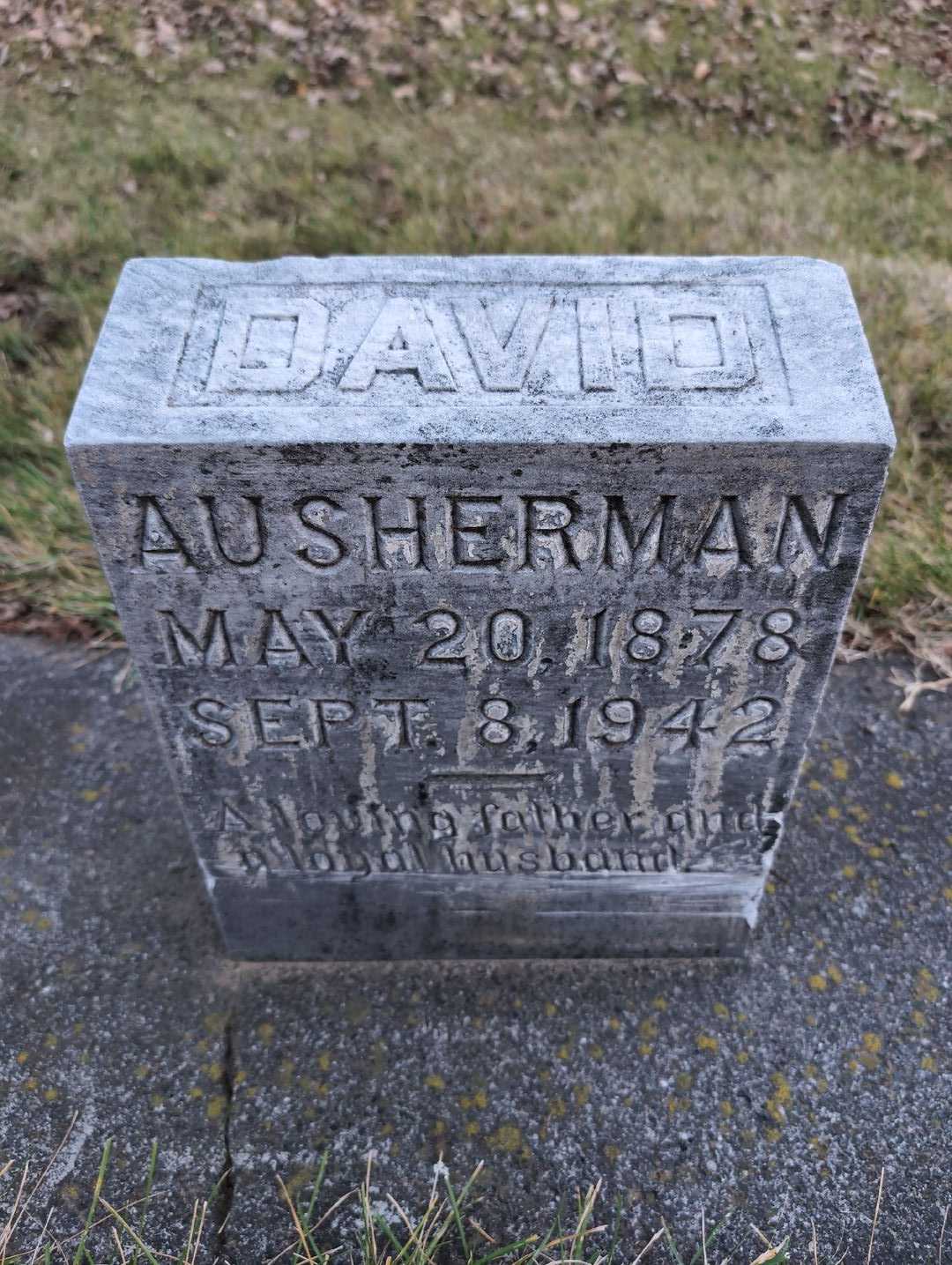 David Ausherman's grave. Photo 3