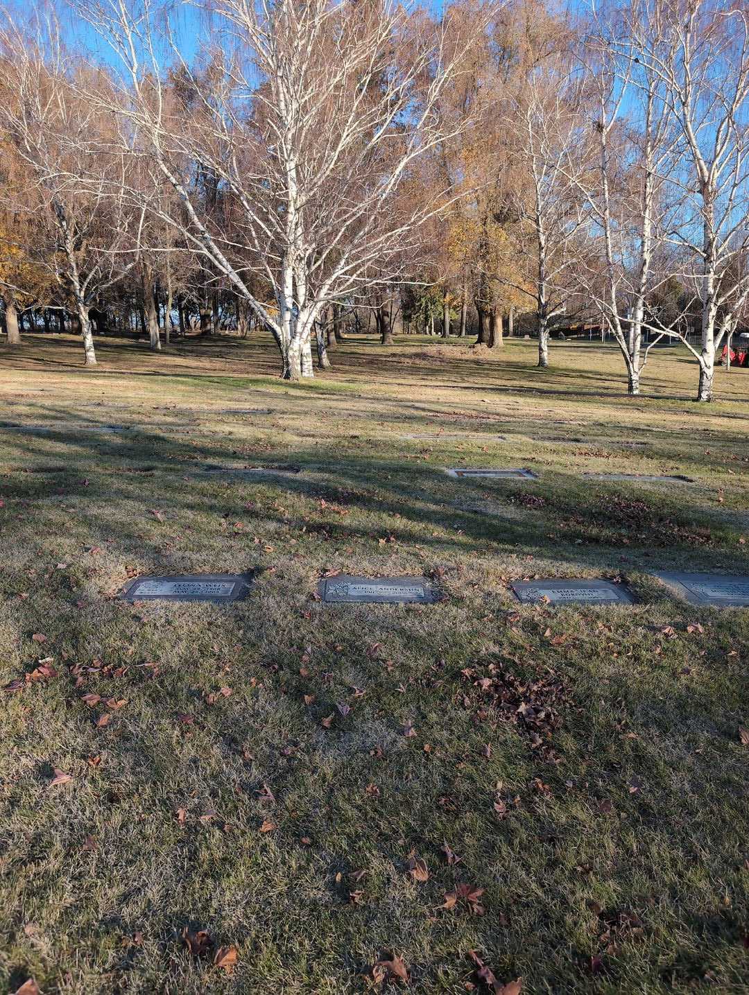 Alice Anderson's grave. Photo 2