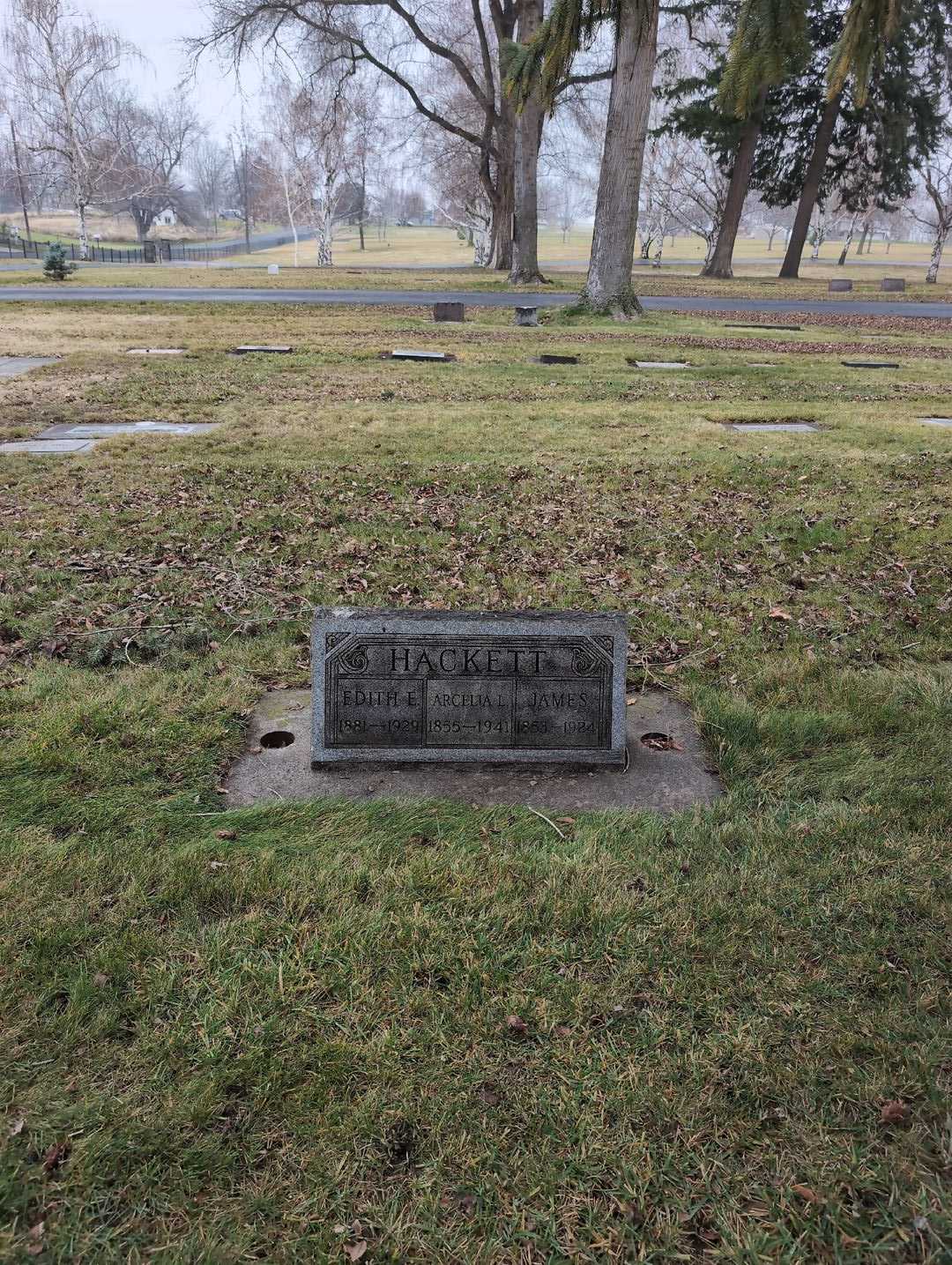 Edith E. Hackett's grave. Photo 4