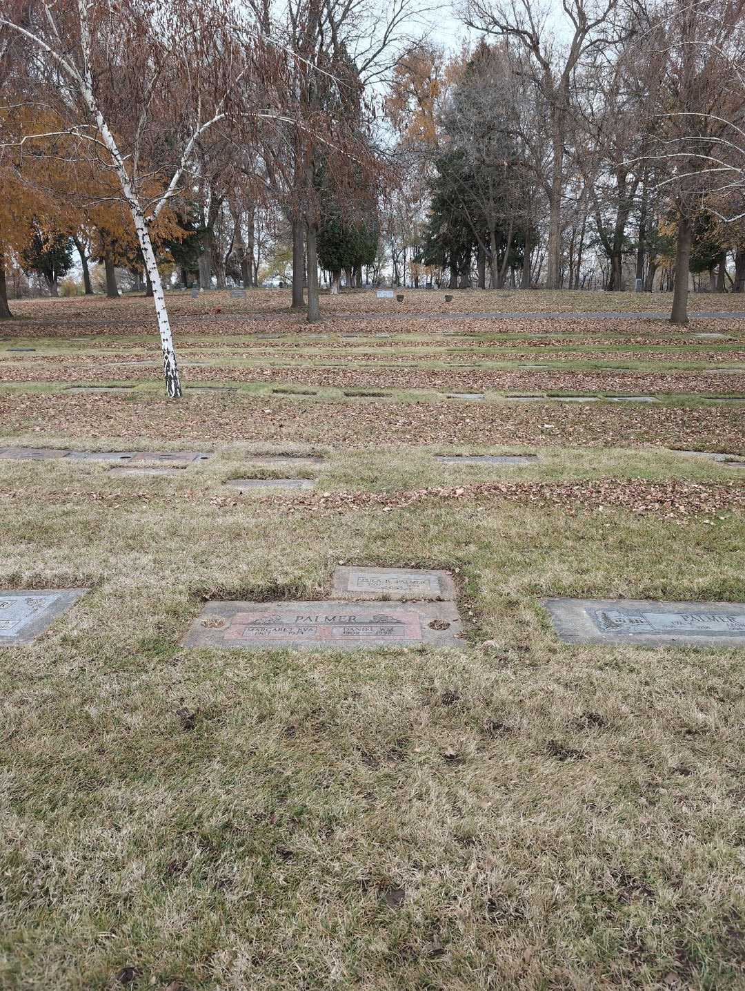 Daniel William "Dan" Palmer's grave. Photo 4