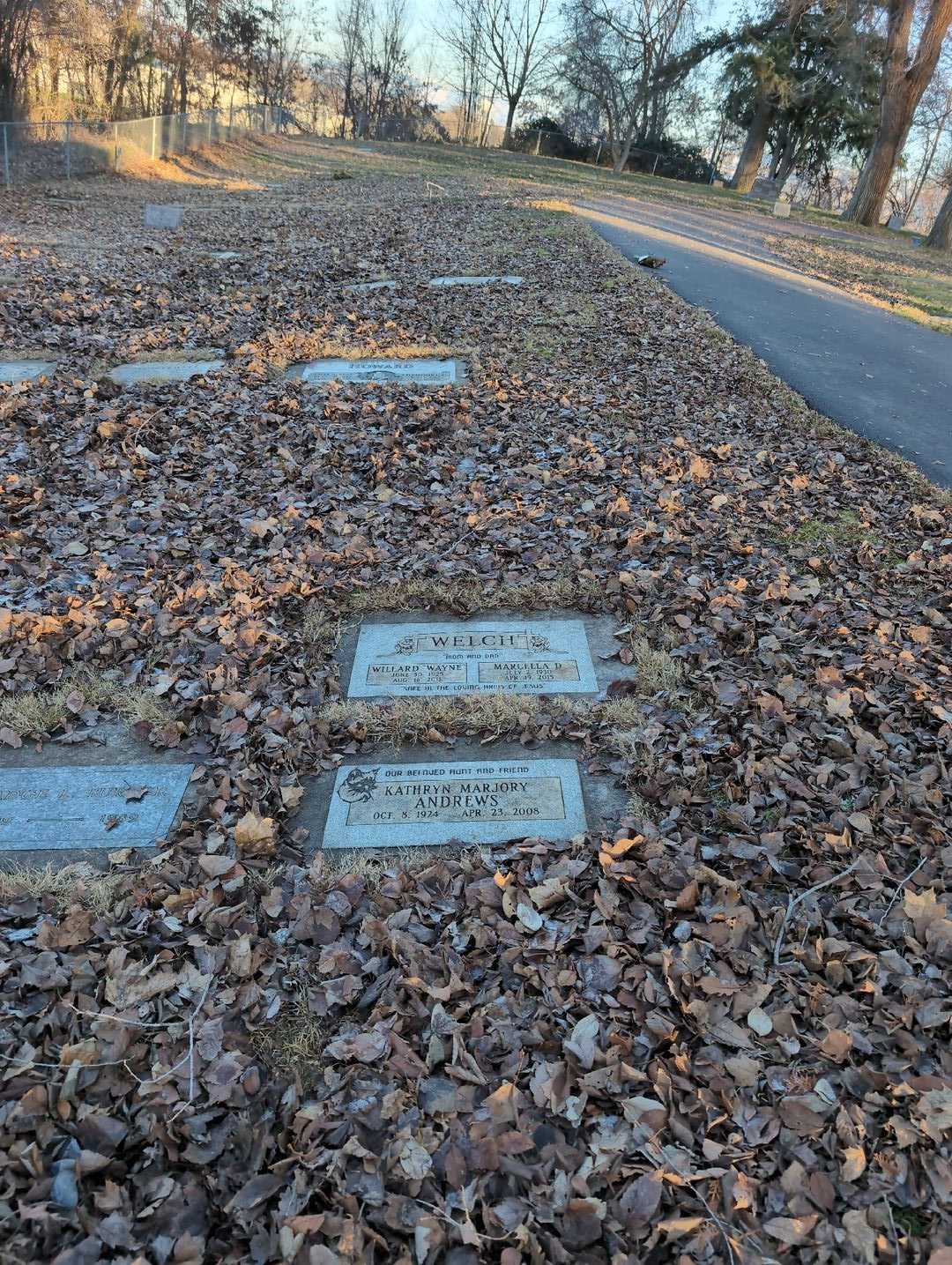 Willard "Wayne" Welch's grave. Photo 2