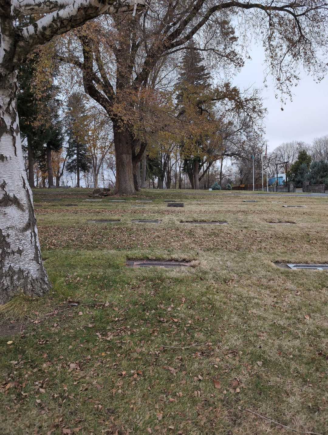 Eli Wentland's grave. Photo 2