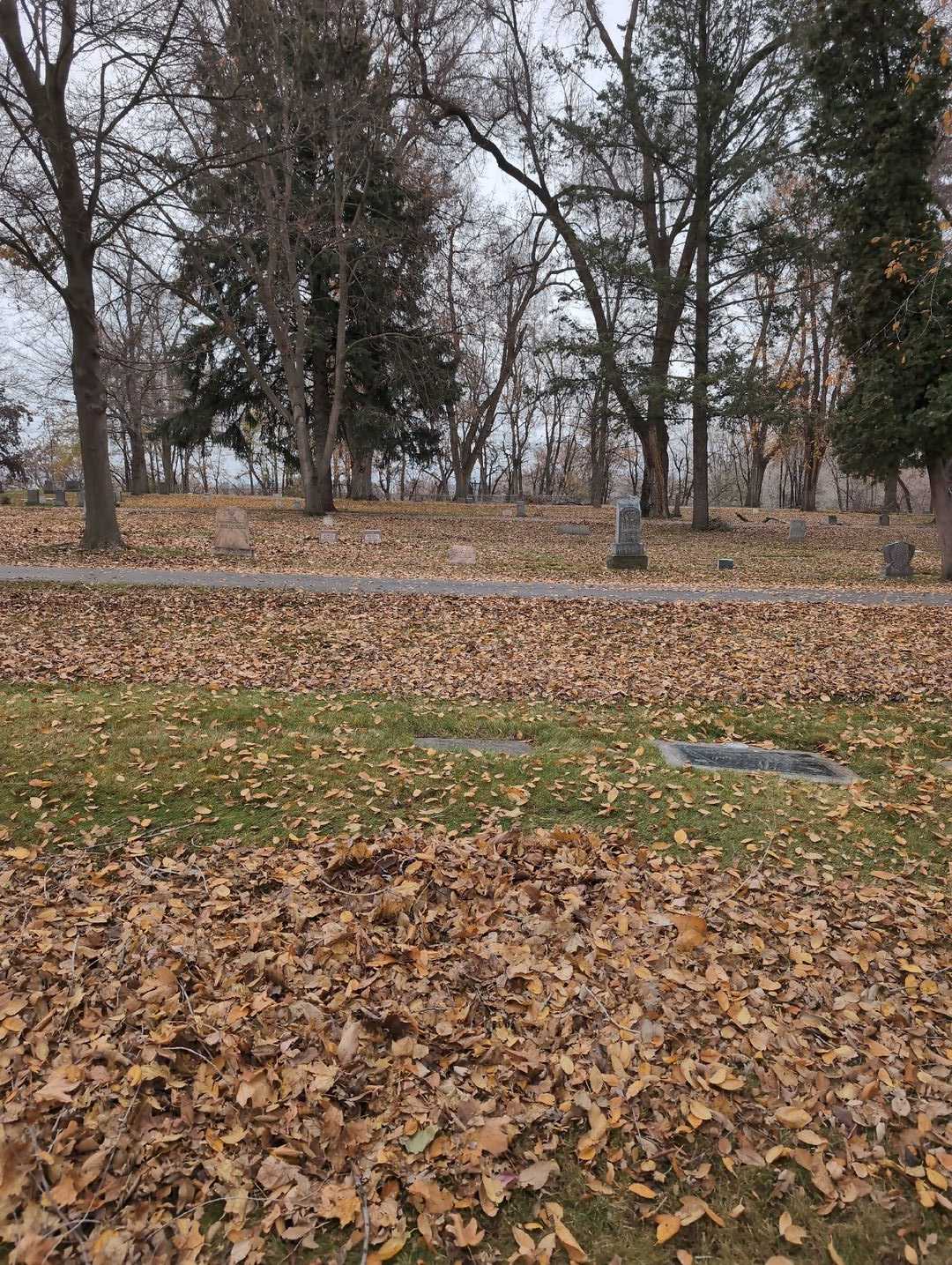 Guy M. Green's grave. Photo 2