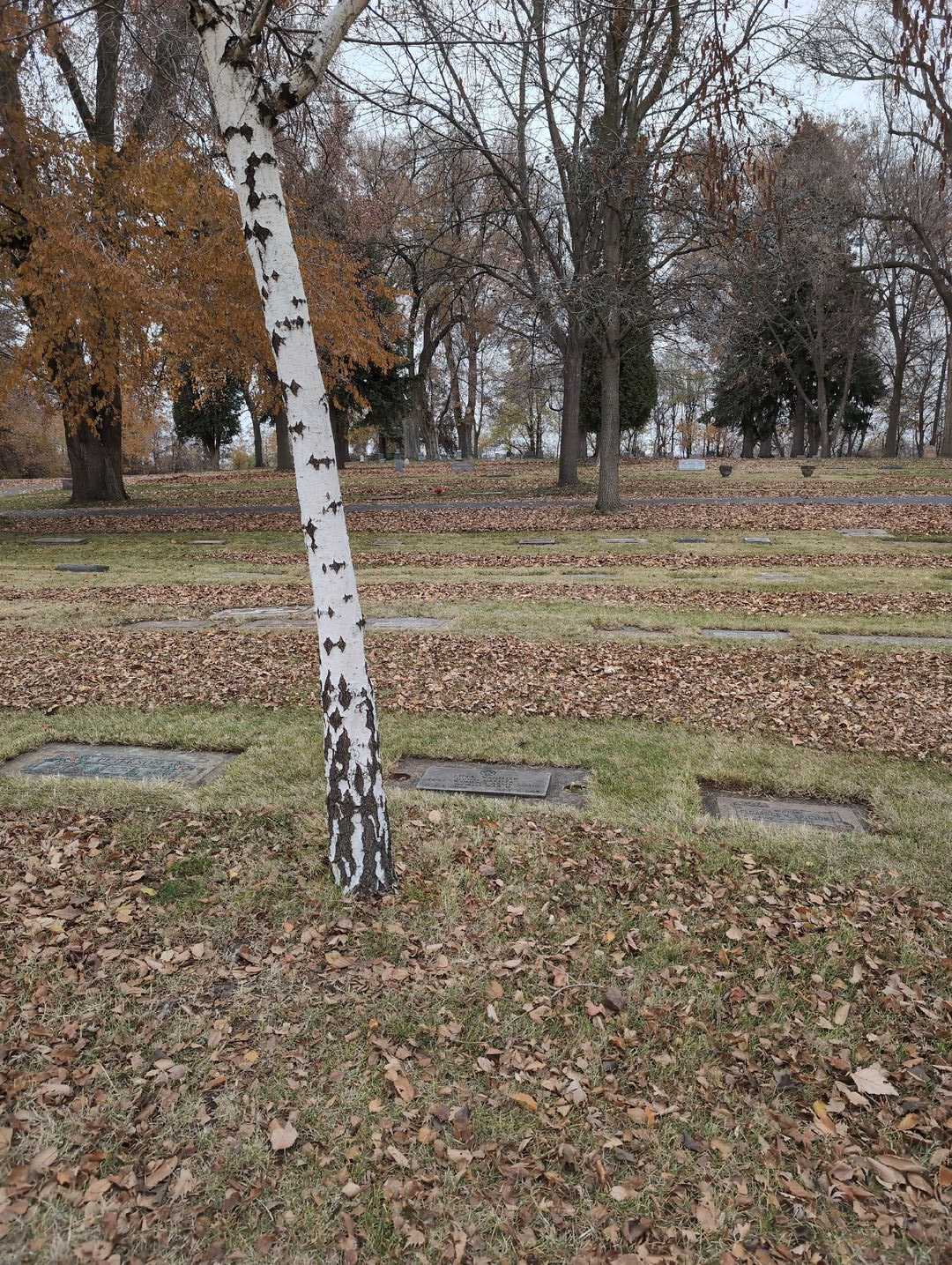 Tina Van Hise's grave. Photo 2