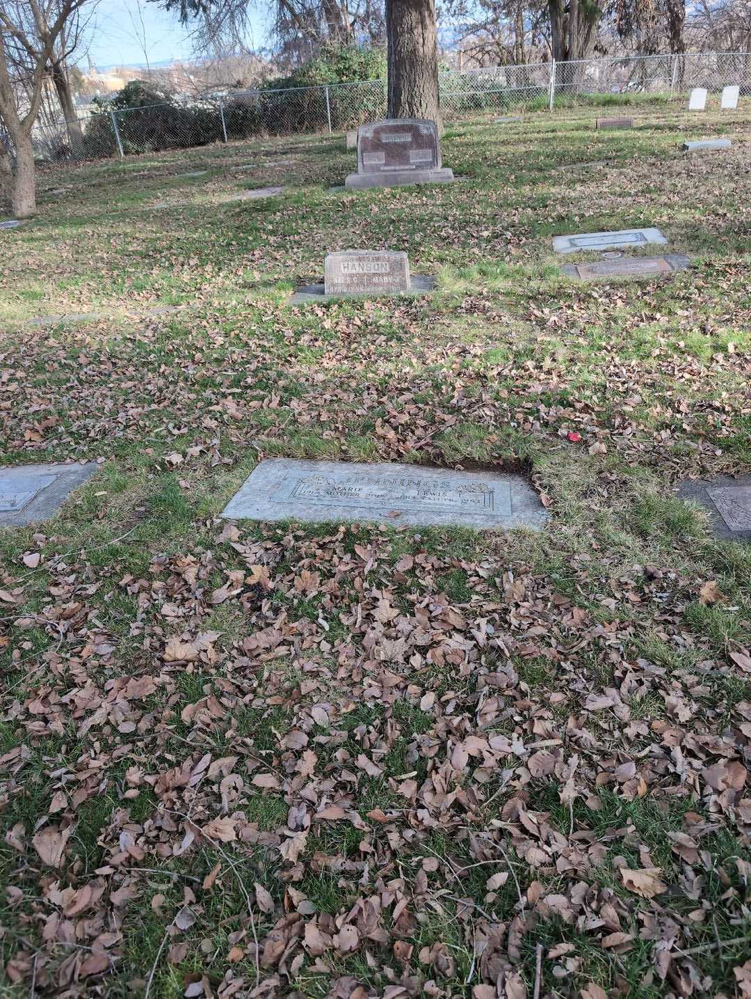 Anna Marie Jennings's grave. Photo 2