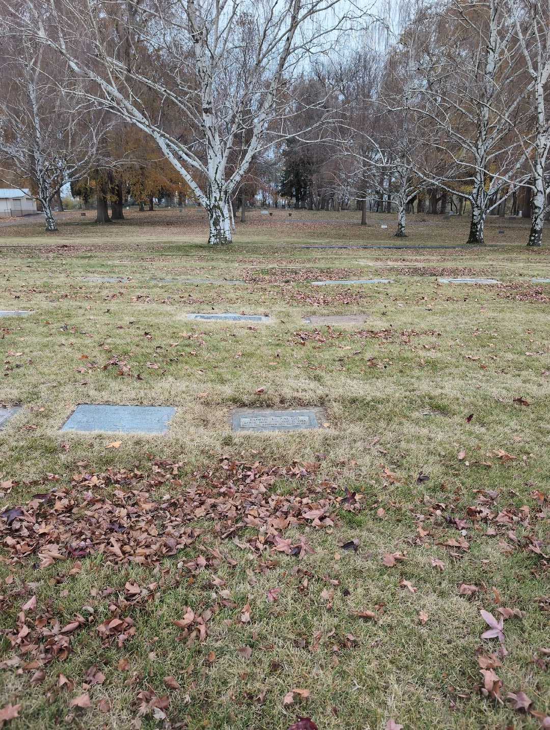 Edwin L. Zaugg's grave. Photo 2