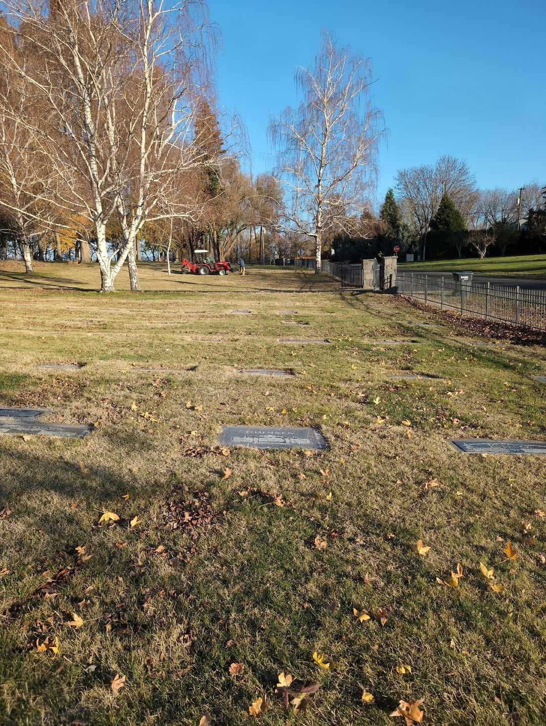 Ingrid Rudy Johnsen's grave. Photo 2