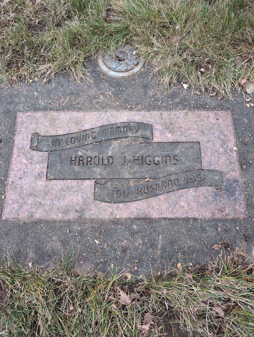 Harold J. Higgins's grave. Photo 3