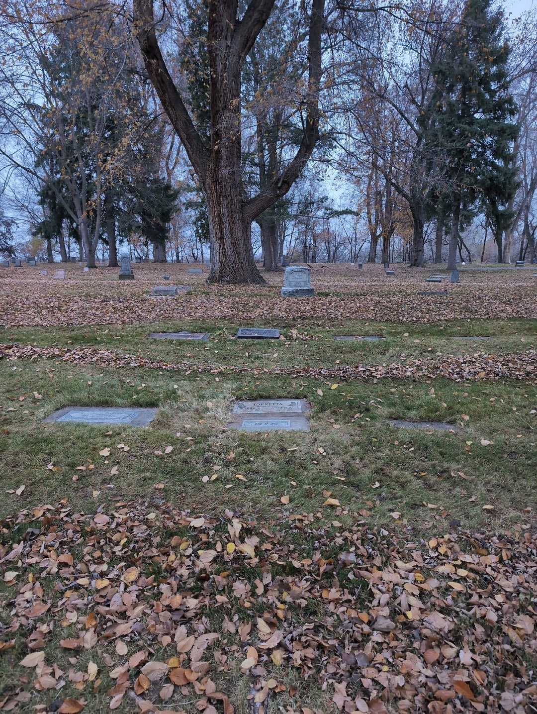 Erma M. Torretta's grave. Photo 3