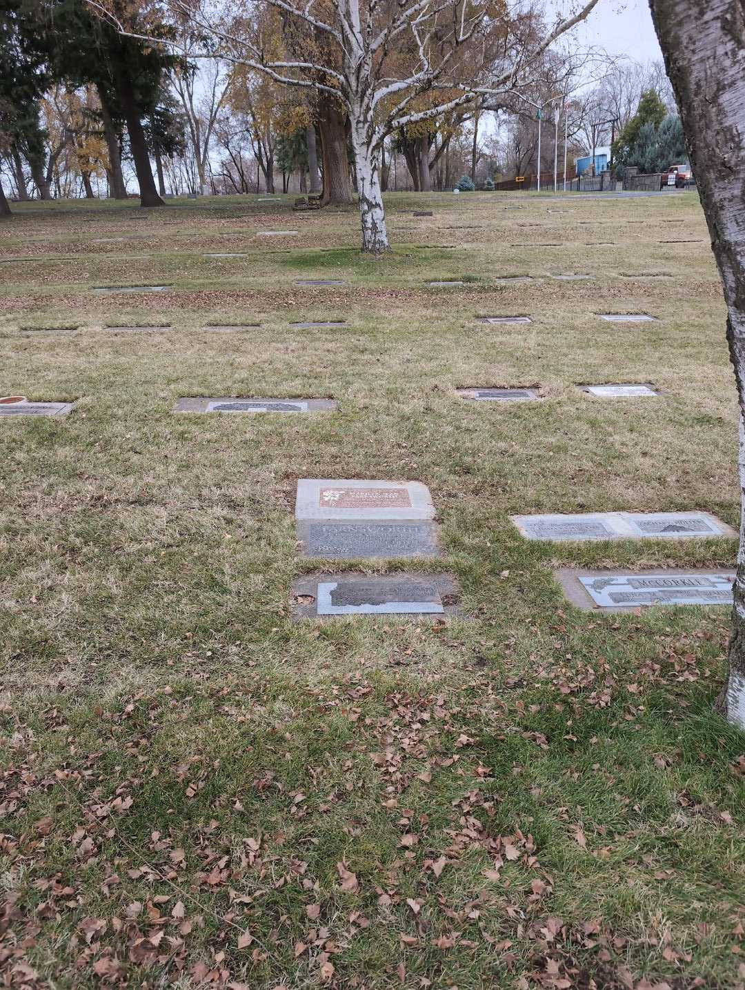 Marilyn Jean Farnsworth's grave. Photo 4