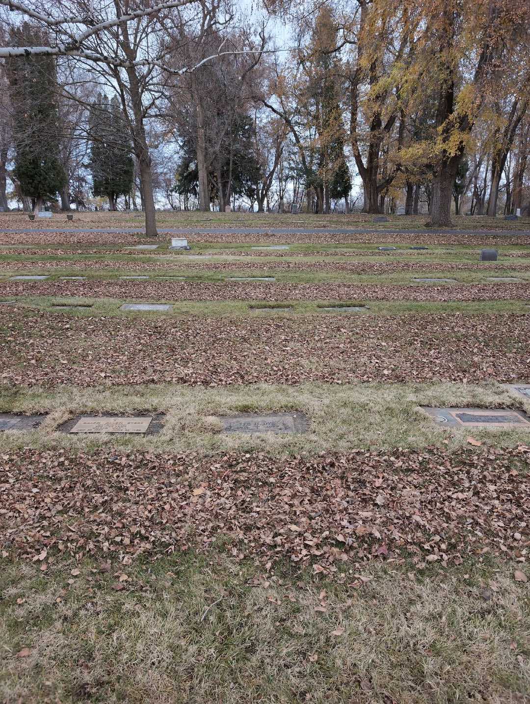 Lee H. Dye's grave. Photo 2
