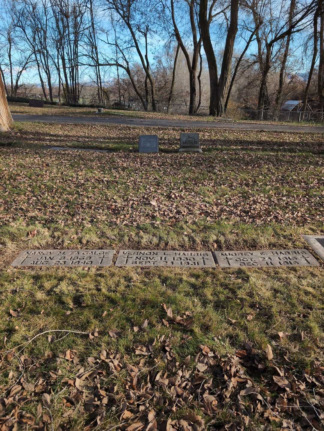 Nancy M. Fagalde's grave. Photo 2