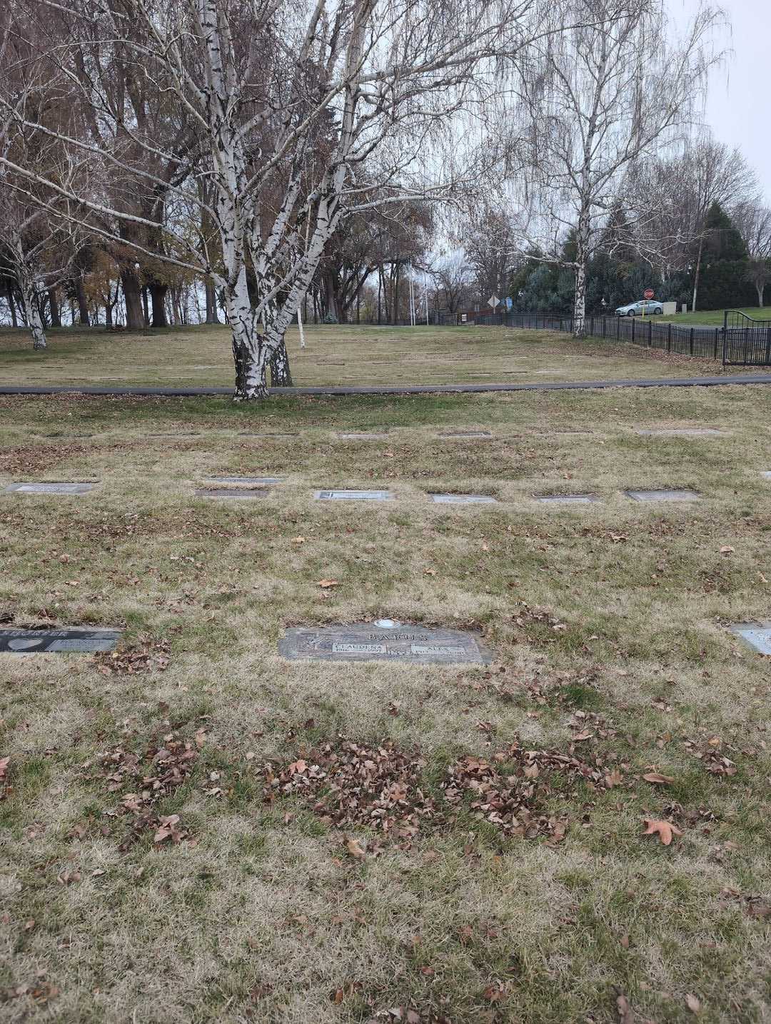 Alex Bafus's grave. Photo 2