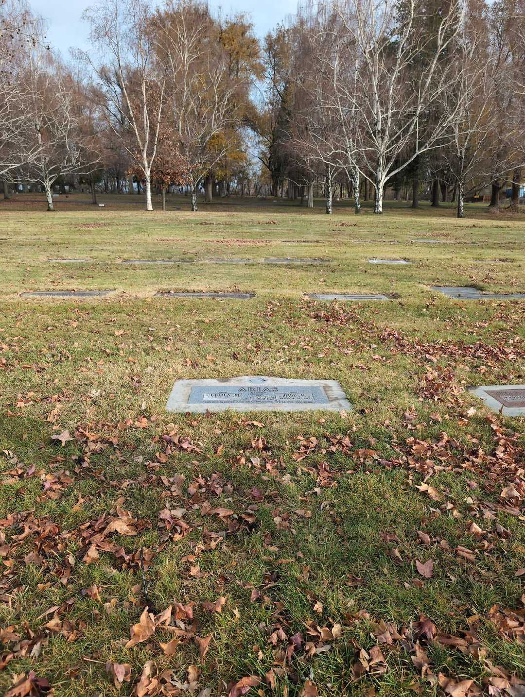 Jose R. Arias's grave. Photo 2