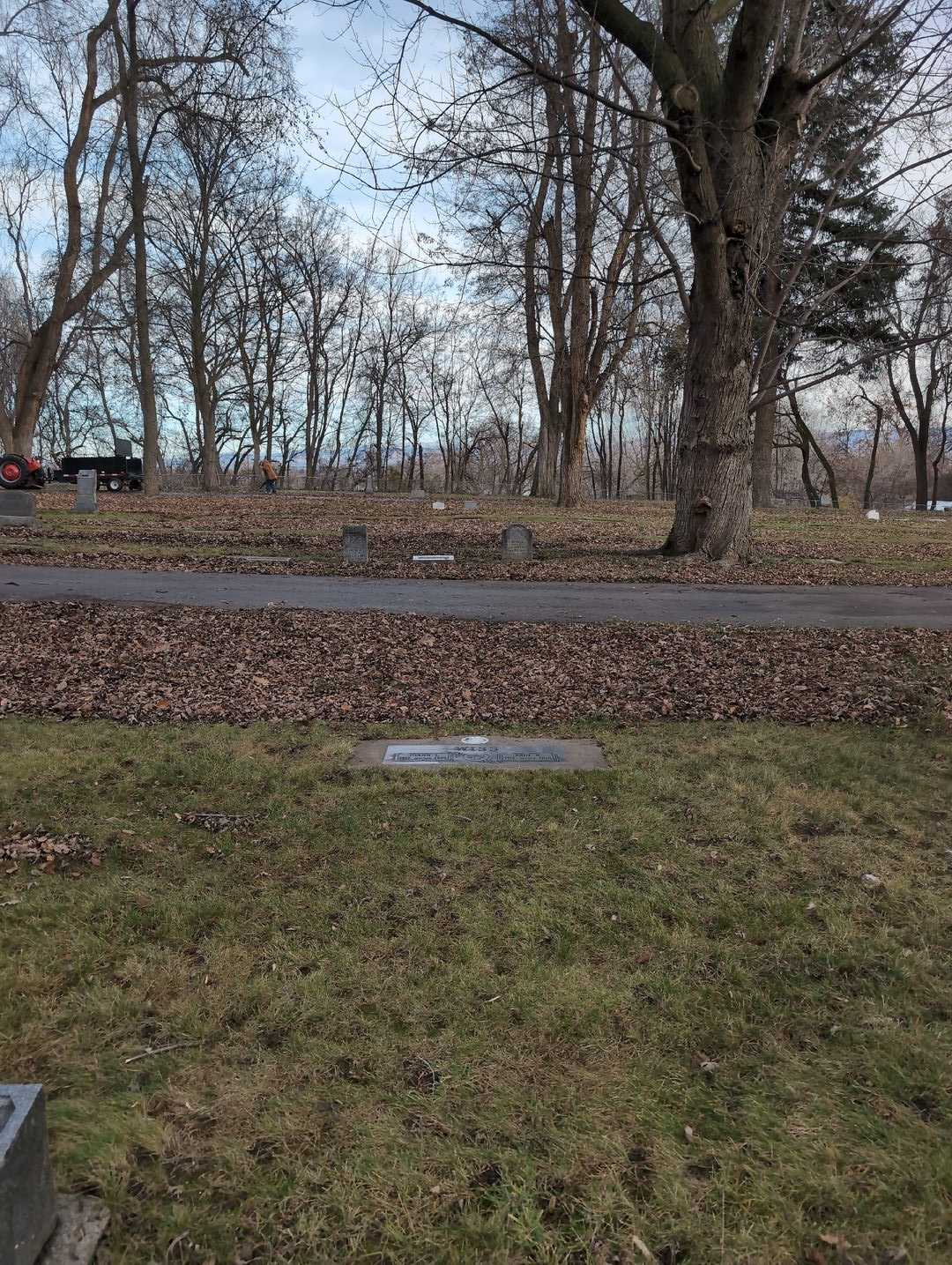 JoAnn L. Wiss's grave. Photo 2