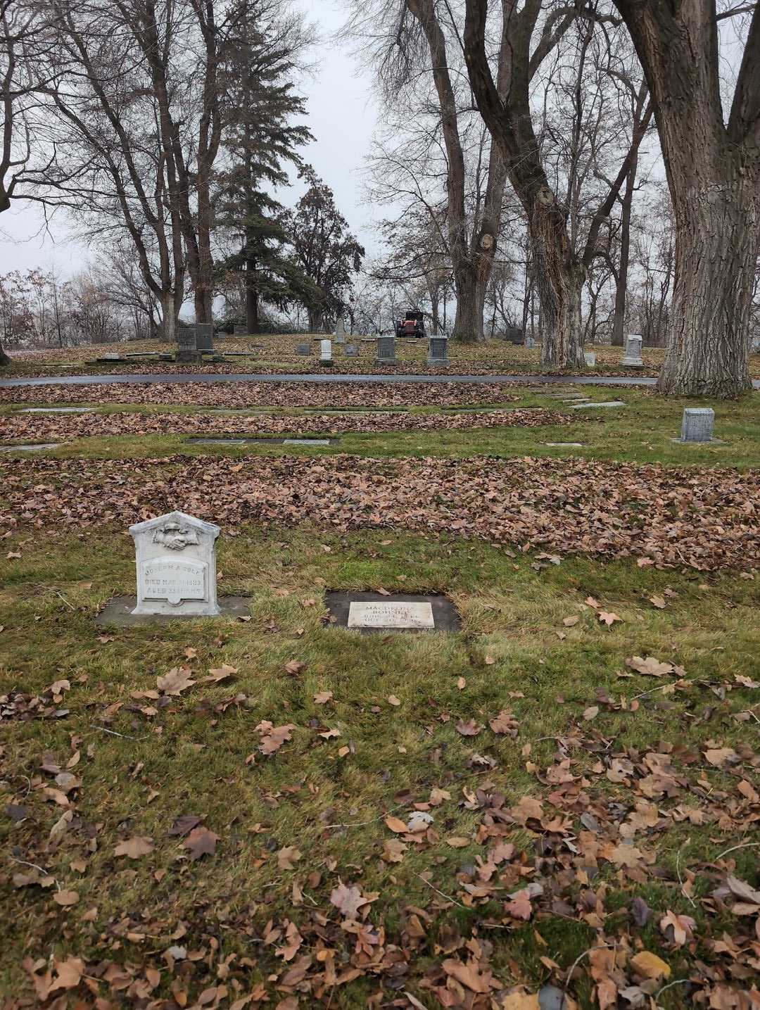 Magdeline Kraft Bohnet's grave. Photo 2