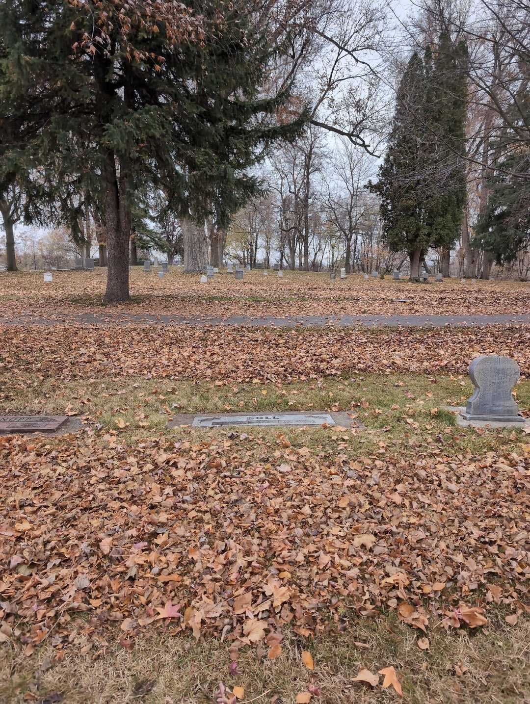 Evelyn A. Doll's grave. Photo 2