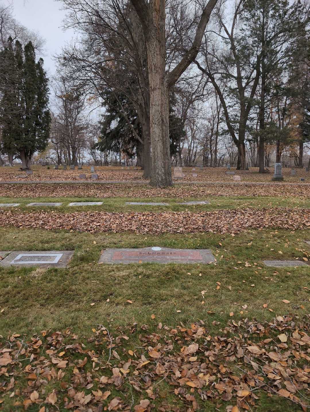 Anna Elizabeth Balharrie's grave. Photo 2