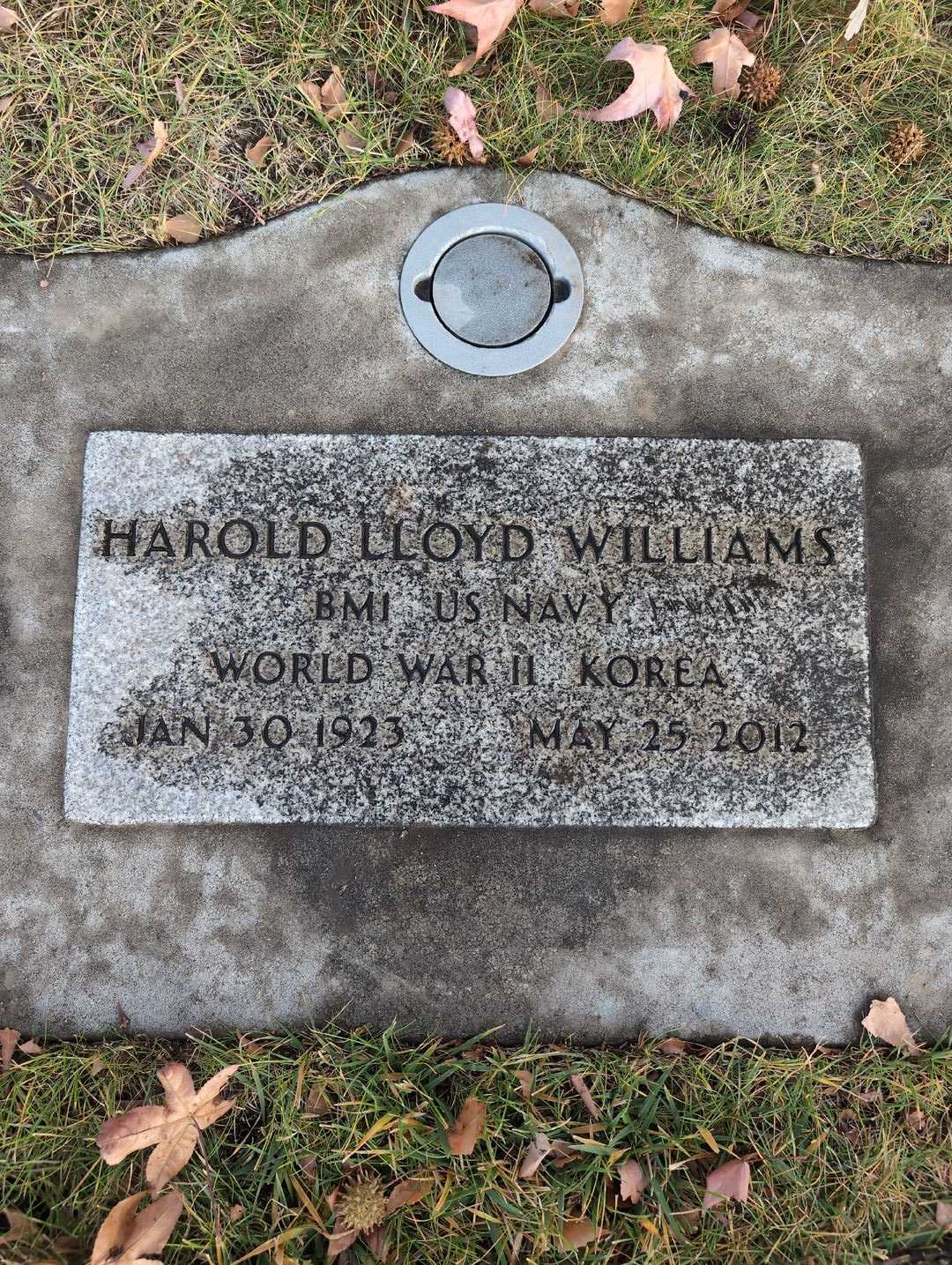 Harold Llloyd Williams's grave. Photo 3