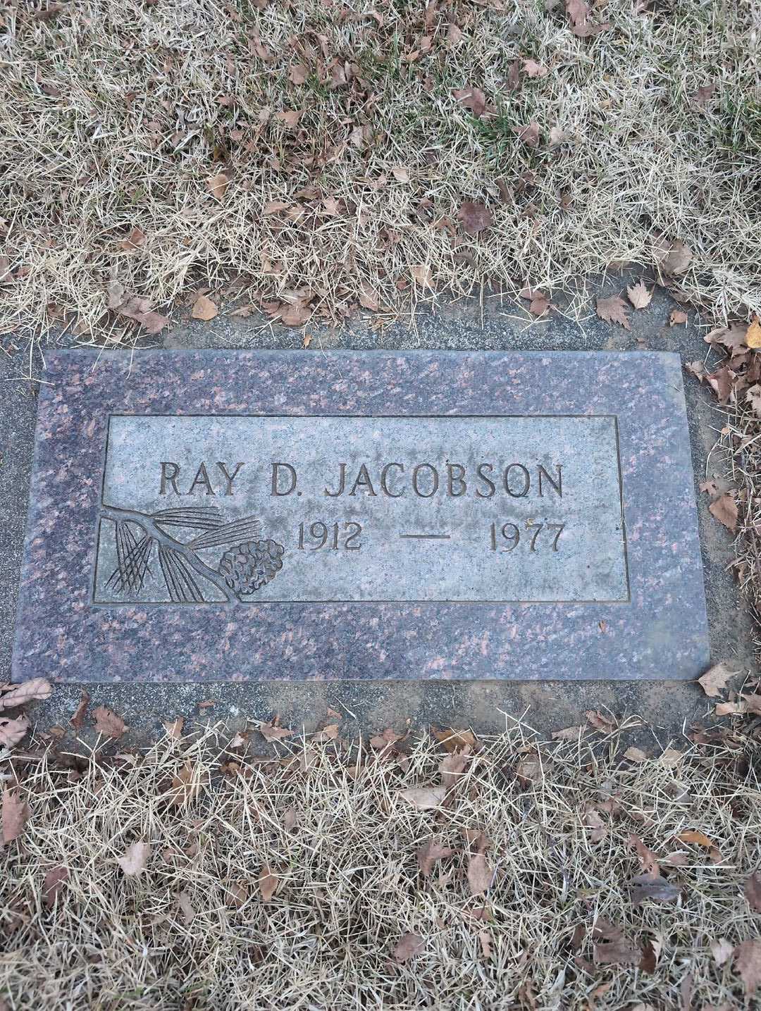 Ray D. Jacobson's grave. Photo 1