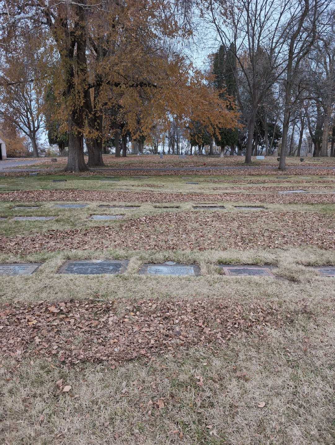 Barbara May Berdan's grave. Photo 2