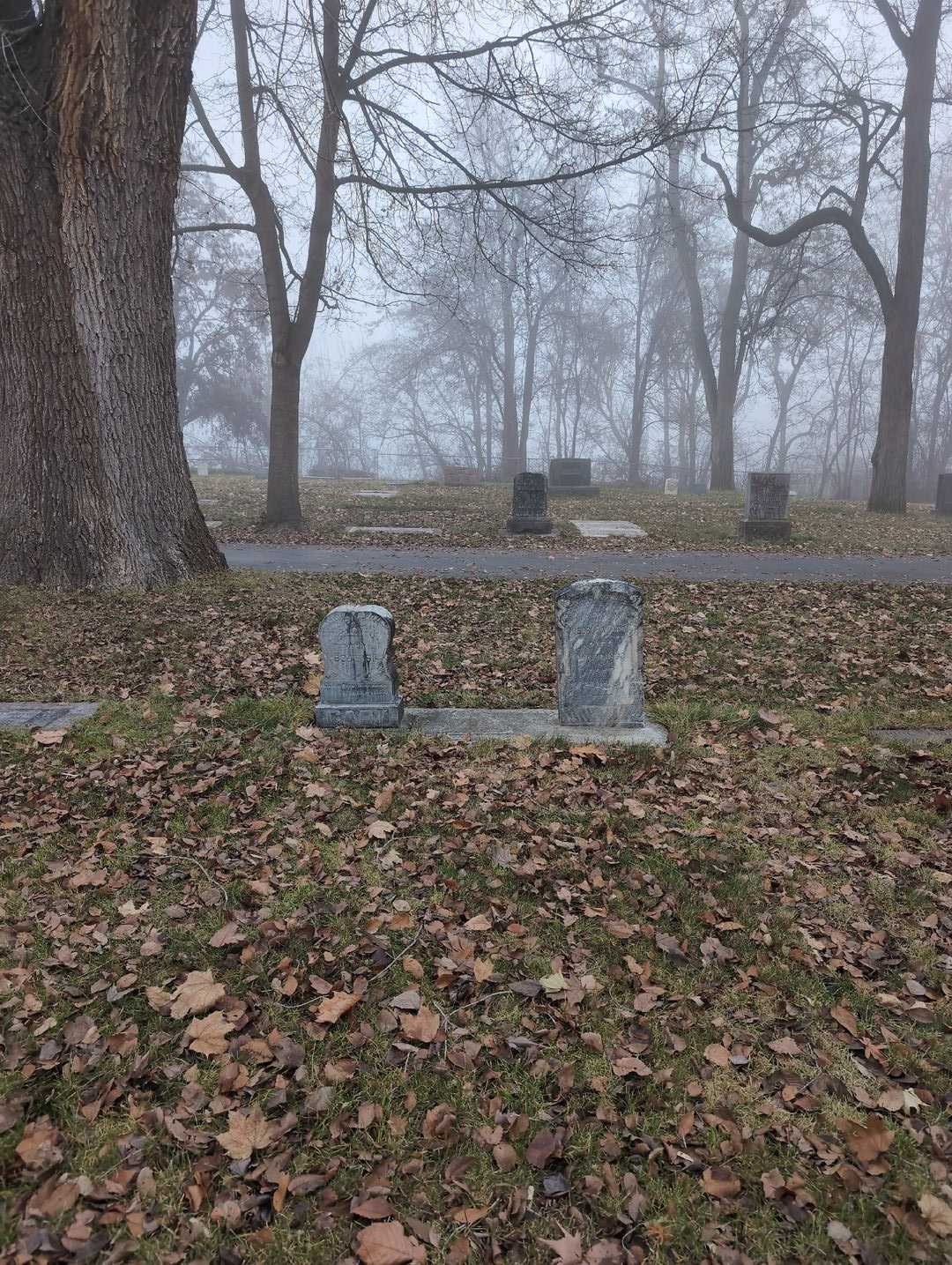 Nancy J. Cady's grave. Photo 2