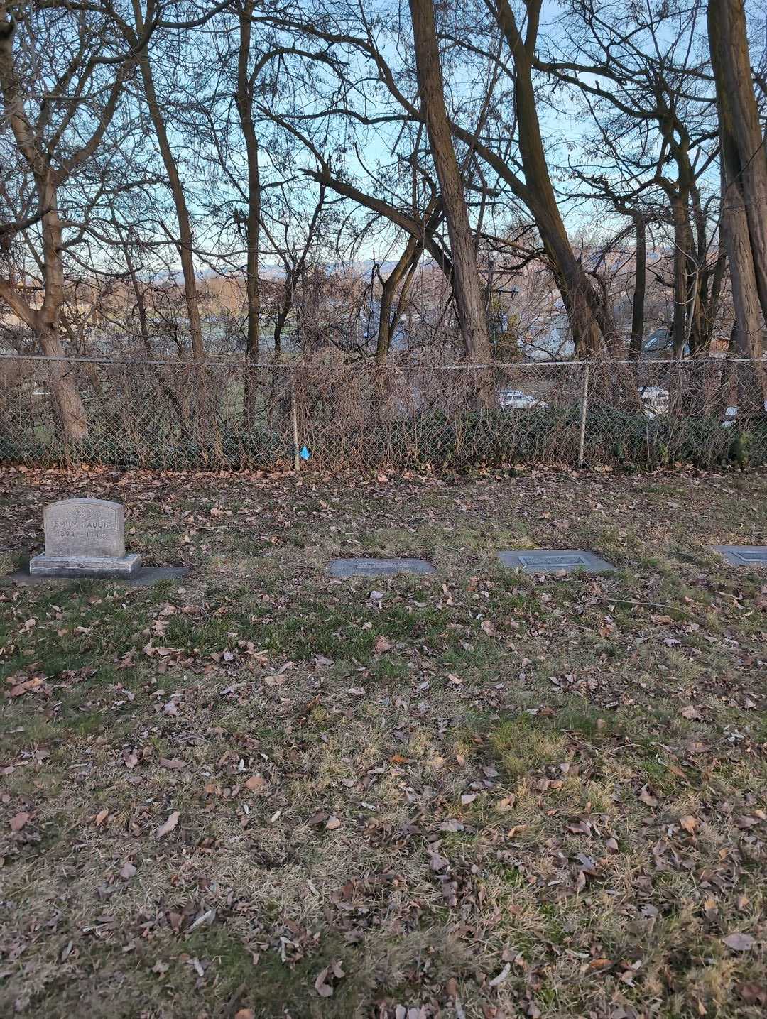 Mary Louise Lessman's grave. Photo 2