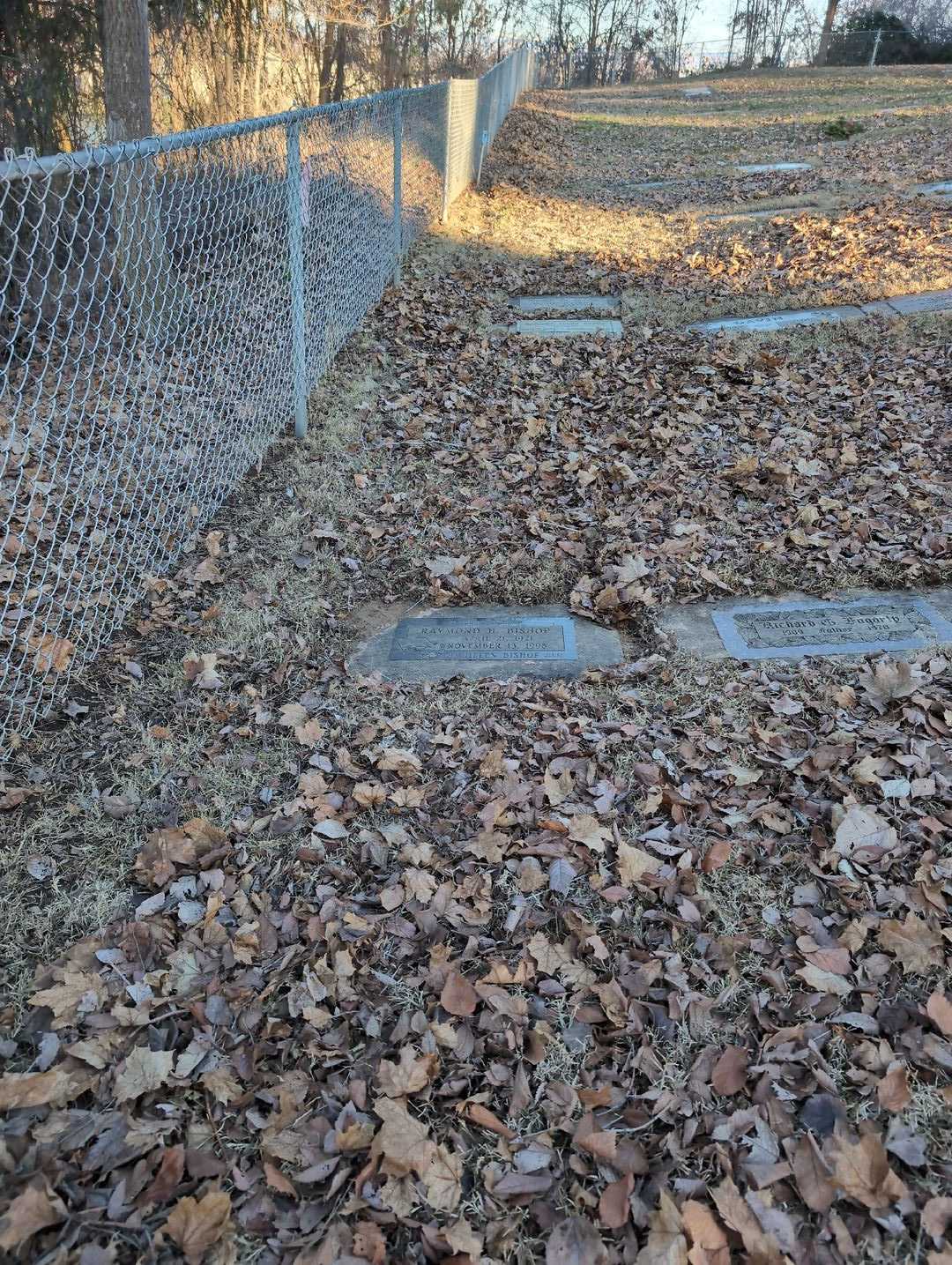 Raymond Harold Bishop's grave. Photo 2