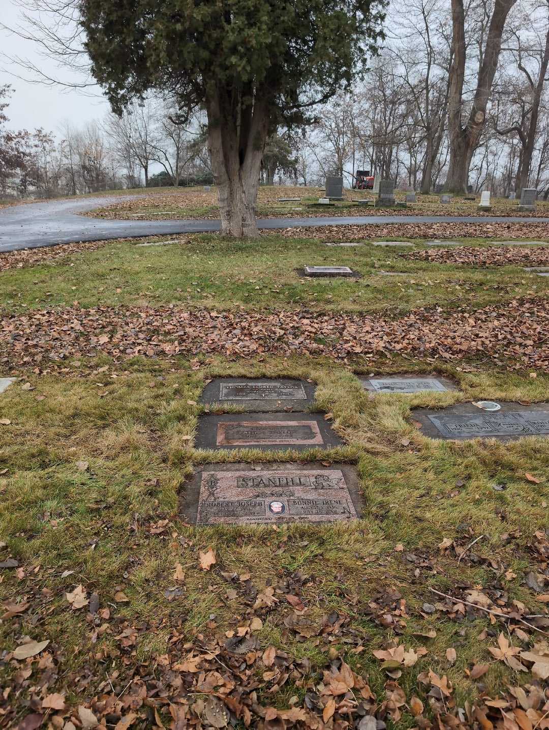 Esther Taylor's grave. Photo 7