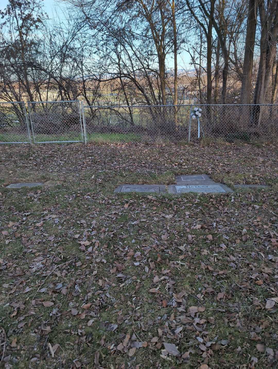 Jewell Una Haight's grave. Photo 2
