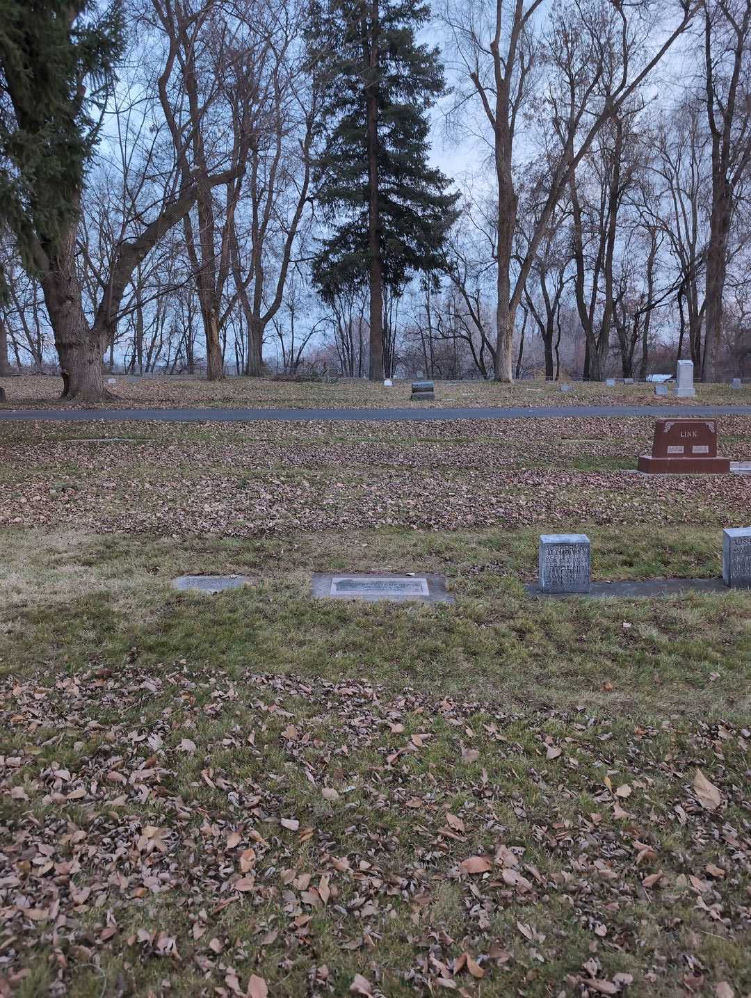 Maude Minnie Freeman Towler's grave. Photo 2