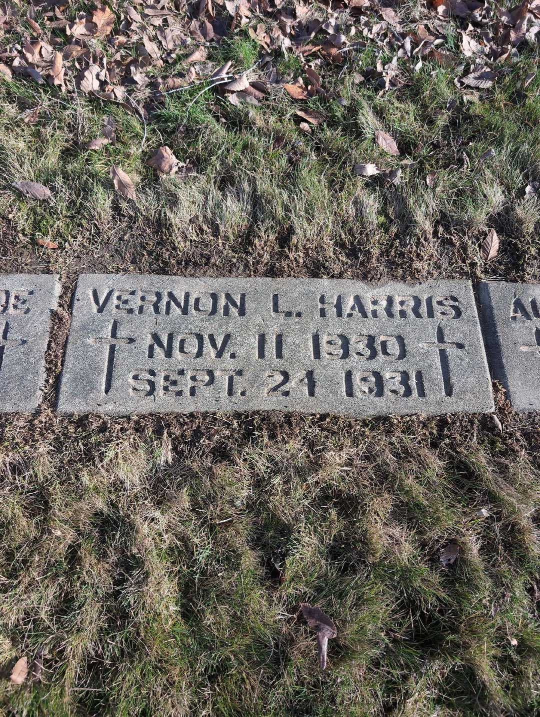 Nancy M. Fagalde's grave. Photo 3