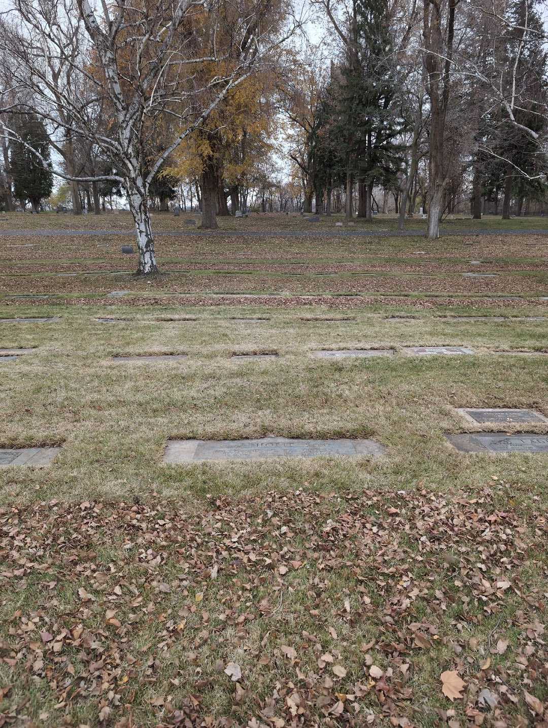 Opal J. Campbell Holte's grave. Photo 2